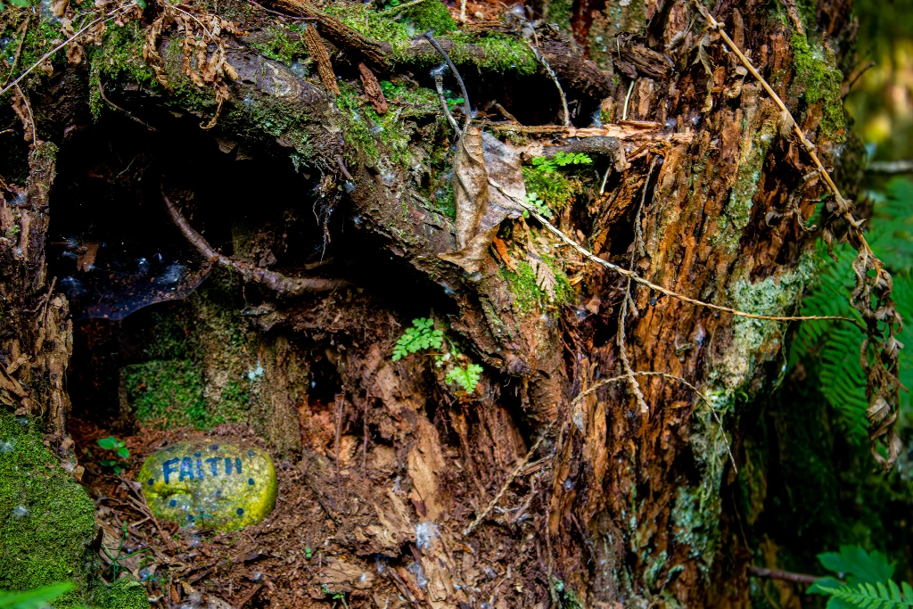 A close up picture of a Tree stump with moss growing on it. In the tree stump, there is an opening with a rock placed inside. The rock is painted green with blue dots. The word &quot;FAiTH&quot; is painted in the centre of the rock in the same blue colour. The picture was taken somewhere along the Quibble Creek Trail in the Green Timbers Urban Forrest in Surrey