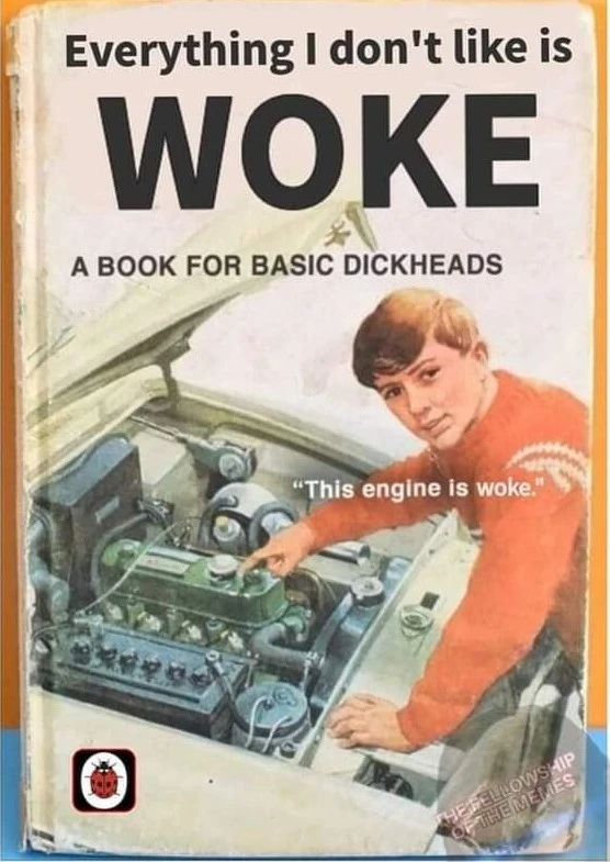 An edited picture of an early reader book. A young man is leaning over the open hood of a car, gesturing with his offhand, facing the viewer. The title of the book has been edited to say &quot;Everything I don&#39;t like is WOKE&quot; and the subtitle is &quot;A book for basic dickheads&quot;. Text over the young man says &quot;This engine is woke&quot;.