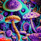 shrooms