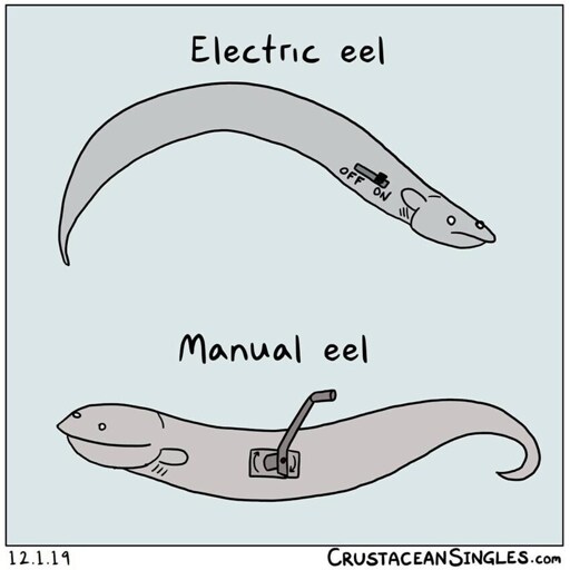 Two drawings of eels are pictured. One has a switch on it, labeled "electric eel," while the other has a crank mechanism on it, labeled "manual eel."