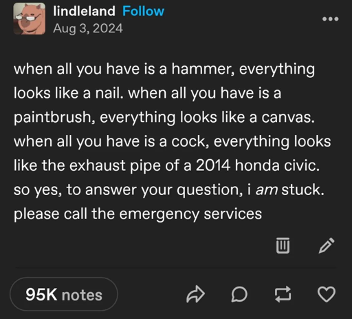 Tumblr post by lindleland "When all you have is a hammer, everything looks like a nail. when all you have is a paintbrush, everything looks like a canvas. when all you have is a cock, everything looks like the exhaust pipe of a 2014 honda civic. so yes, to answer your question, I am stuck. please call the emergency services.