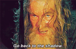 Gandalf gif where he tells the Barlog to go back to the shadows.