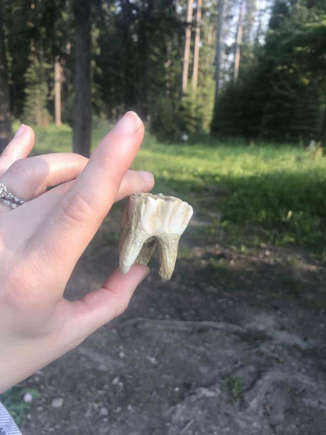 landscape photo of a lady holding a moose tooth