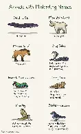 Animals with misleading names.