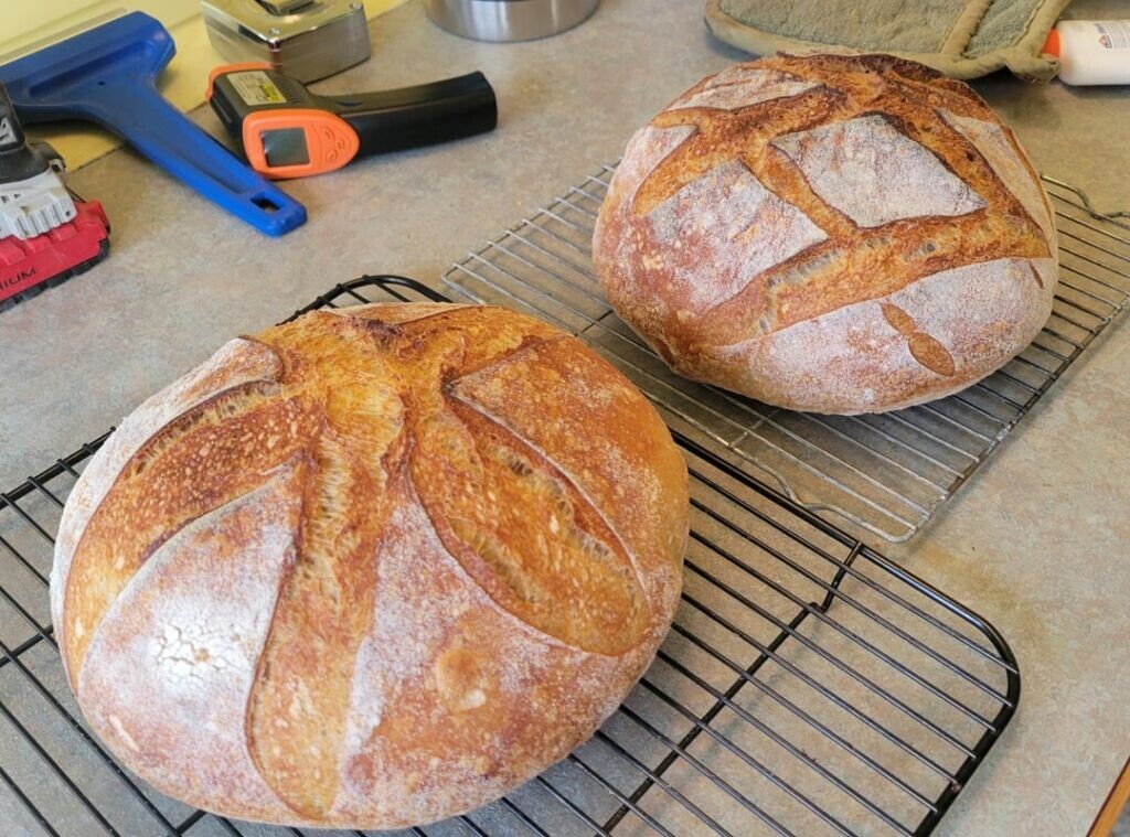 First loaves 