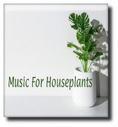 Music For Houseplants : Amy Lohrman : Free Download, Borrow, and Streaming : Internet Archive