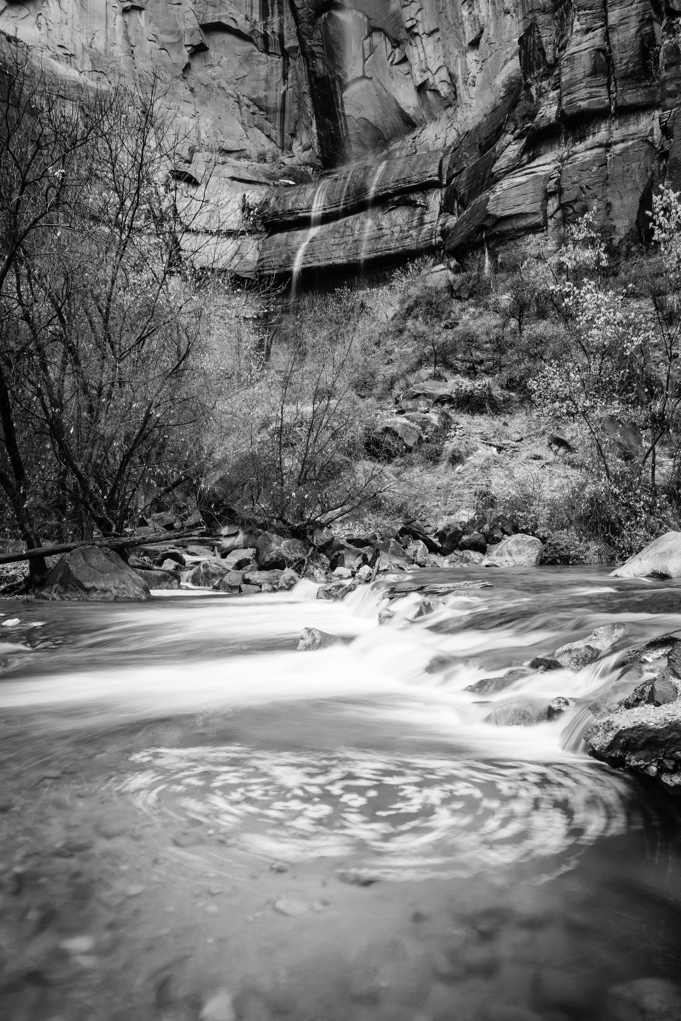 The Virgin River running over rocks at the Temple of Sinawava, with an eddy seen in the foreground. In the background, a small waterfall.