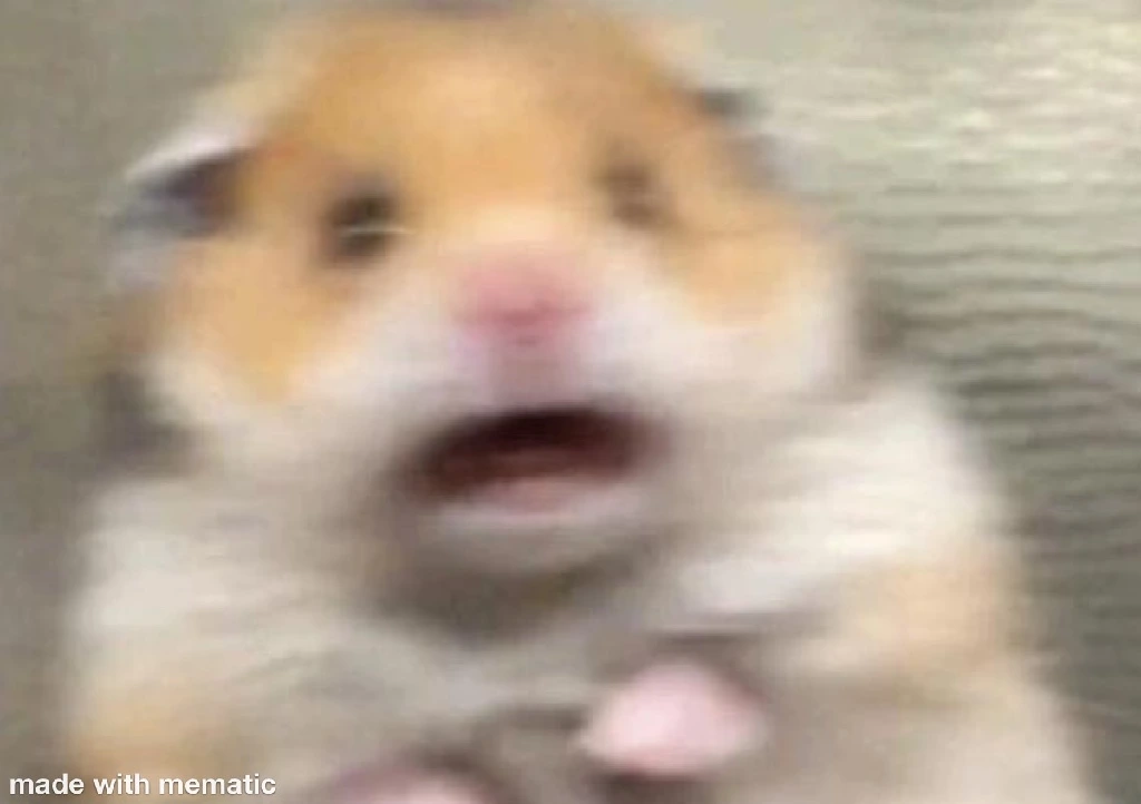 Frightened Hamster.jpeg