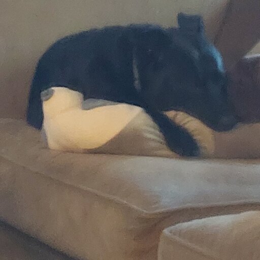 A black dog lying on a brown couch, with its head and right paw cuddling an oversized grey sloth plush