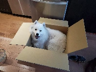 My box