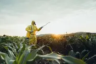 500 Canadians were profile because they were against pesticides