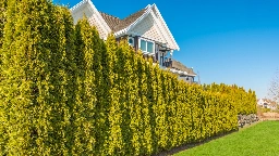 B.C. woman who deliberately damaged neighbour's trees ordered to pay $150K in compensation