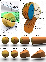 An algorithm that shapes objects to cause them to roll down ramps following a desired path