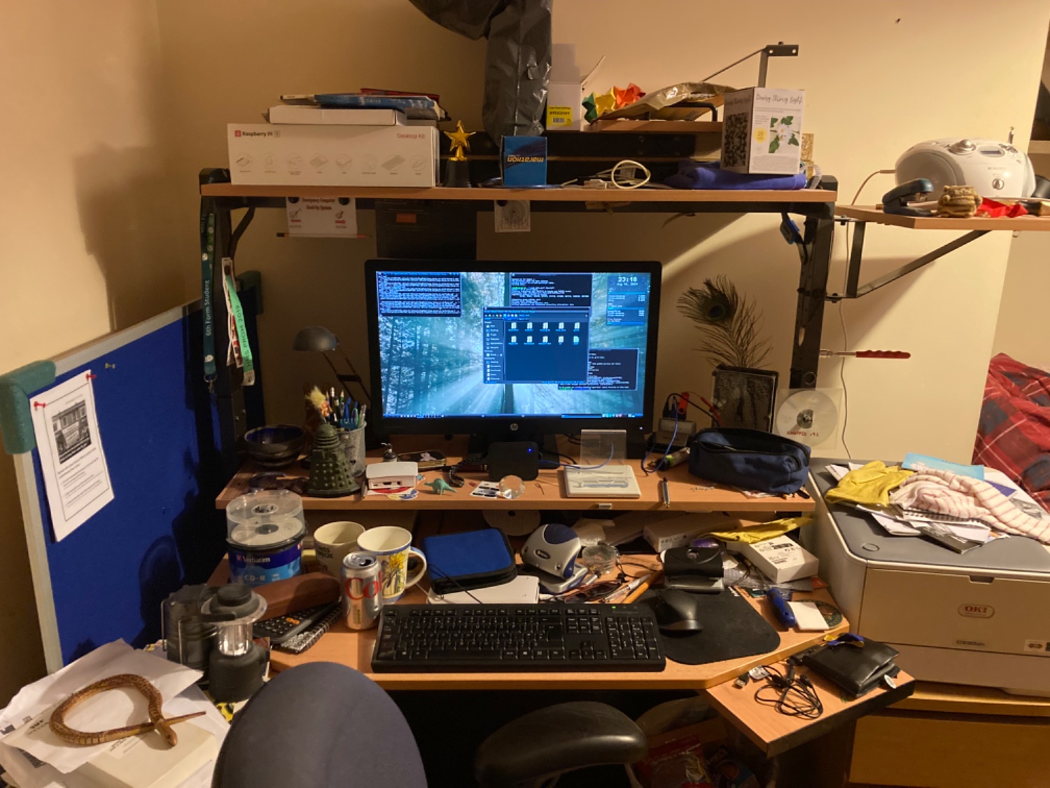 A photo of my desk, covered in clutter. There are two empty cups and a can of Diet Coke next to a stack of blank CD-Rs and a glasses case, as well as a CD book, a holepunch, and a graphing calculator behind a black keyboard. There is another, different holepunch behind the mouse. On the shelf above, there is a bowl and a toy lizard, next to a Dalek, which is next to a Raspberry Pi 3 in a case, which is next to a small dinosaur. In front of the monitor, there is a Bluetooth speaker and a CD drive, with an empty tablet stand on top. Behind the monitor, there is a USB hub with two wires and a stick plugged in, as well as another Raspberry Pi (this time a 5, in a black 3D printed case). Next to these, there is a pencil case and a pair of fingers, holding a peacock feather. In front of the pencil case, there are some loose zinc pellets. There are also some photos, some wristbands (from concerts), and a CD of KNOPPIX v9.1 attached to the desk's metal frame with magnets.