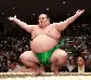 sumo