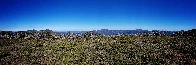 Bluff Track, Alpine National Park, Victoria