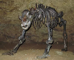 Cave bear - Wikipedia