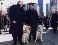 TIL a guide dog named Roselle led a group of people including her blind owner down 78 flights of stairs before the North Tower collapsed on 9/11.