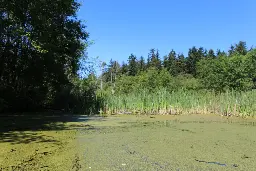 Input sought for French Creek estuary management plan