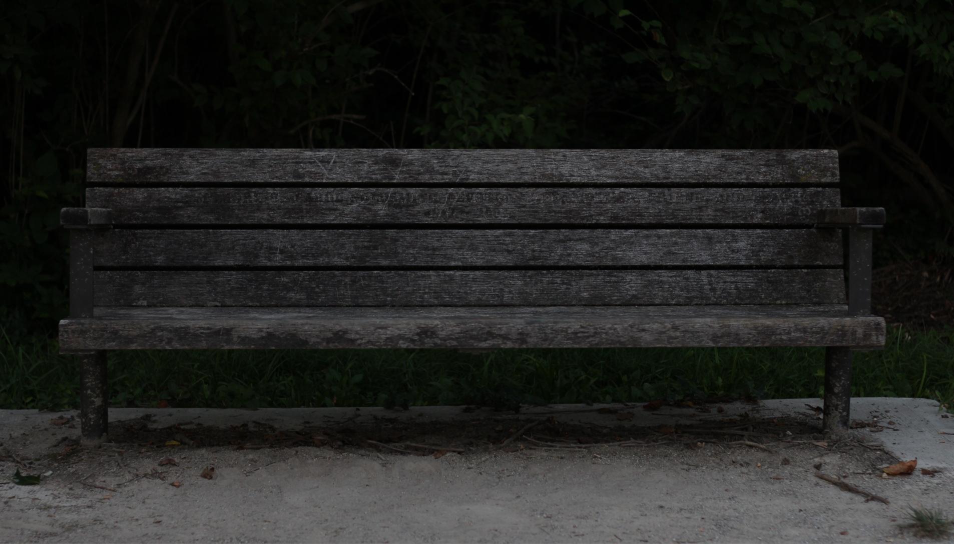 Dark photo of a long gray bench. Dark green plants in the background