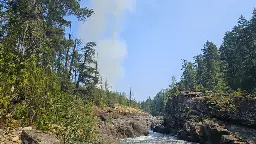 Crews battle forest fire along Nanaimo River