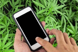 Study: AI Can Tell if You’re Stoned by Reading Your Smartphone Data