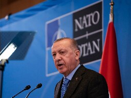 Turkish parliament’s foreign affairs commission approves Sweden’s NATO bid