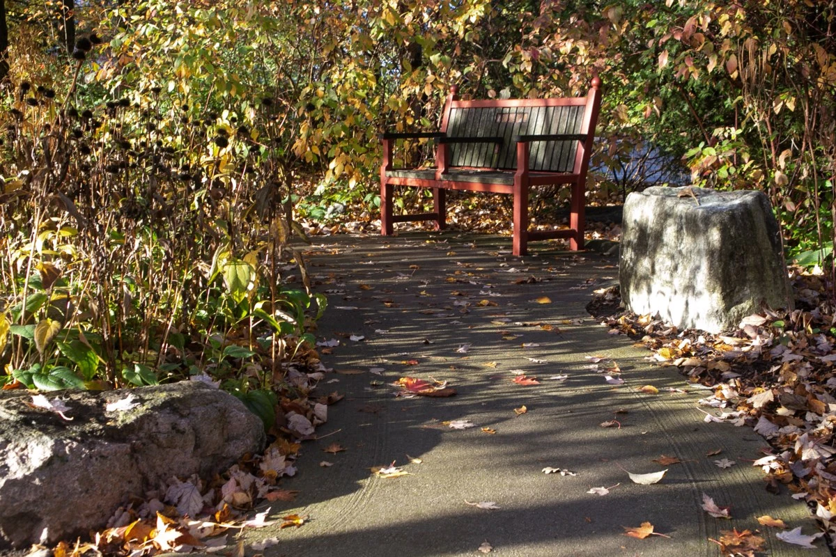 Aggressive dogs and owner seen frequenting Riverside Park