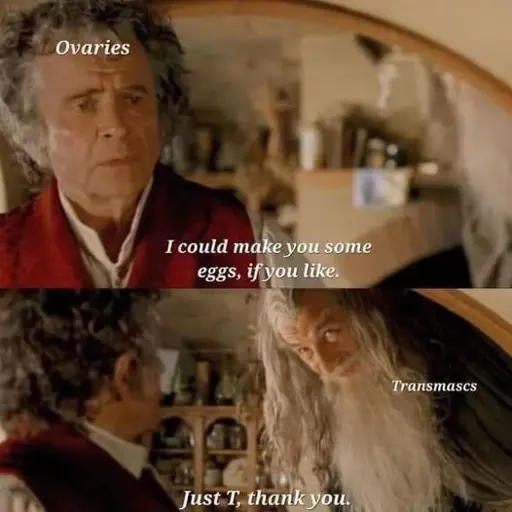 Bilbo (ovaries) politely says to Gandalf "I could make you some eggs, if you like." Gandalf (transmascs) says "Just T, thank you."