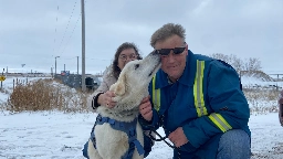 'Did what he's trained to do': Sask. veteran says service dog banned from church for barking after fall