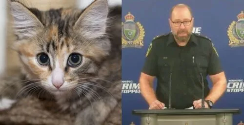 "Worst case of animal cruelty": Videos lead to arrests in Canada | Canada