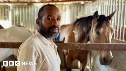 Palestinian horse centre in rebuild vow after West Bank demolition