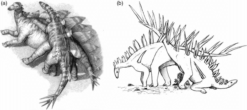 stegasaurus mating positions
