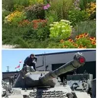 'Nobody can believe it': Stouffville residents outraged by plan to replace garden with tank in Memorial Park