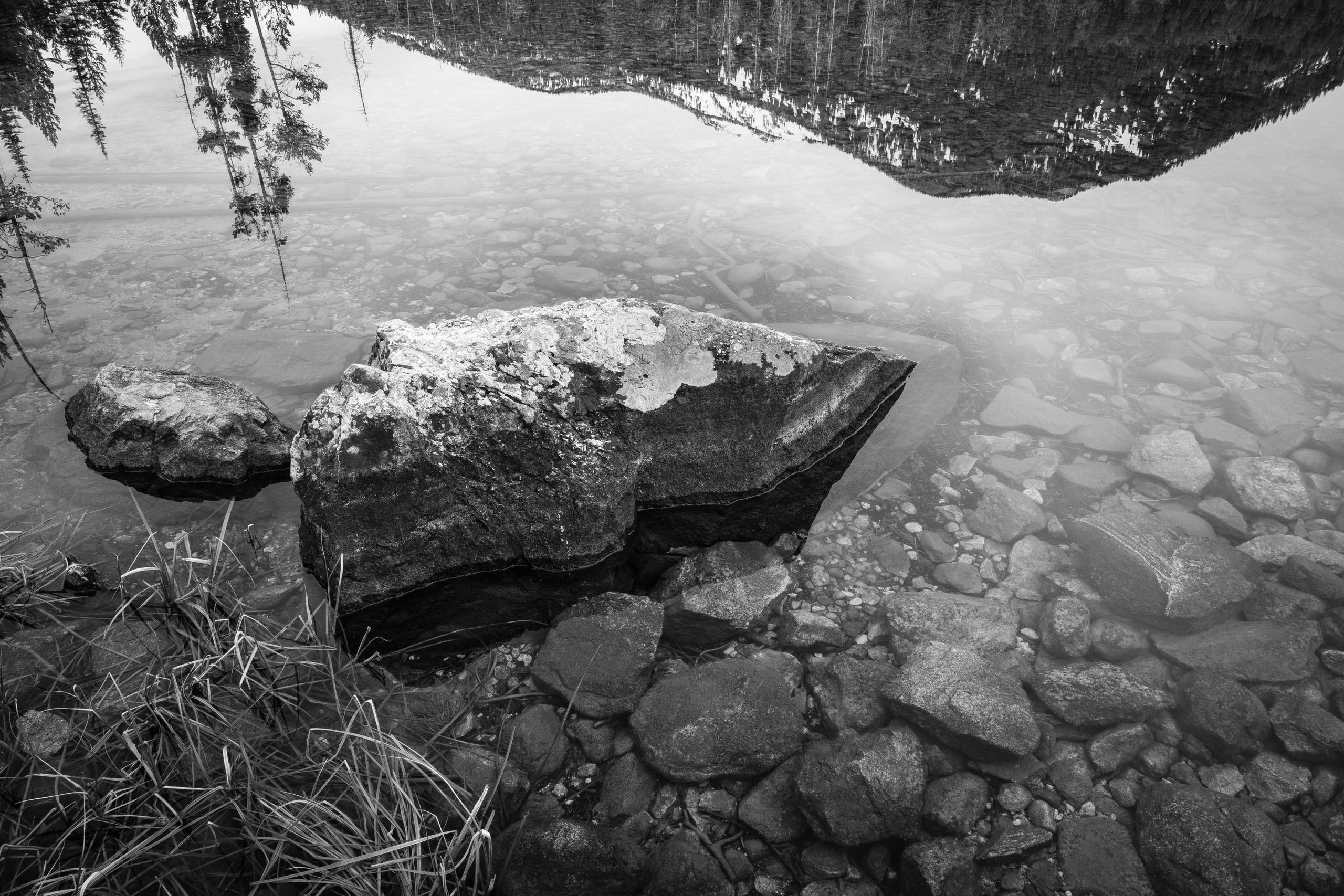 A rock half-submerged in Taggart Lake. Mountains and trees can be seen reflected in the water.