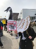 Cobra Chicken Energy at Ottawa's First Tesla Takedown Protest ✊