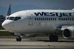 WestJet flight diverts to Winnipeg after passenger tries to open door