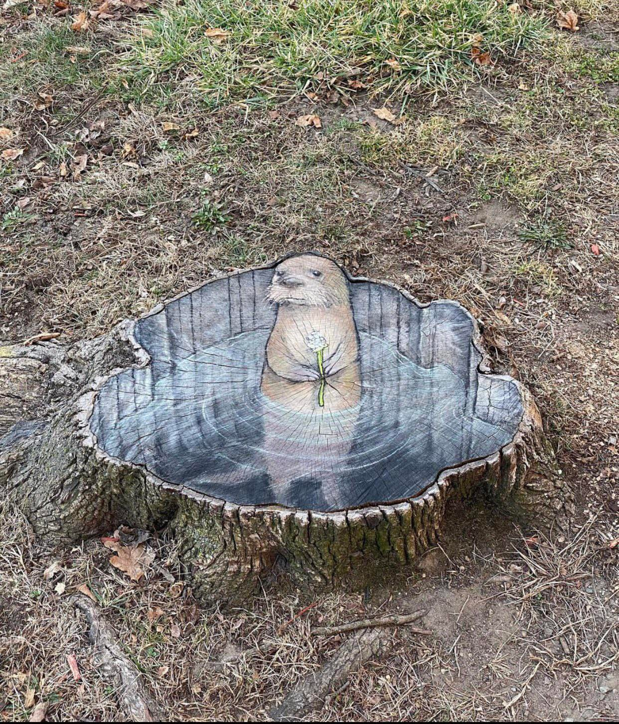 An otter drawn into a stump holding a flower pensively.