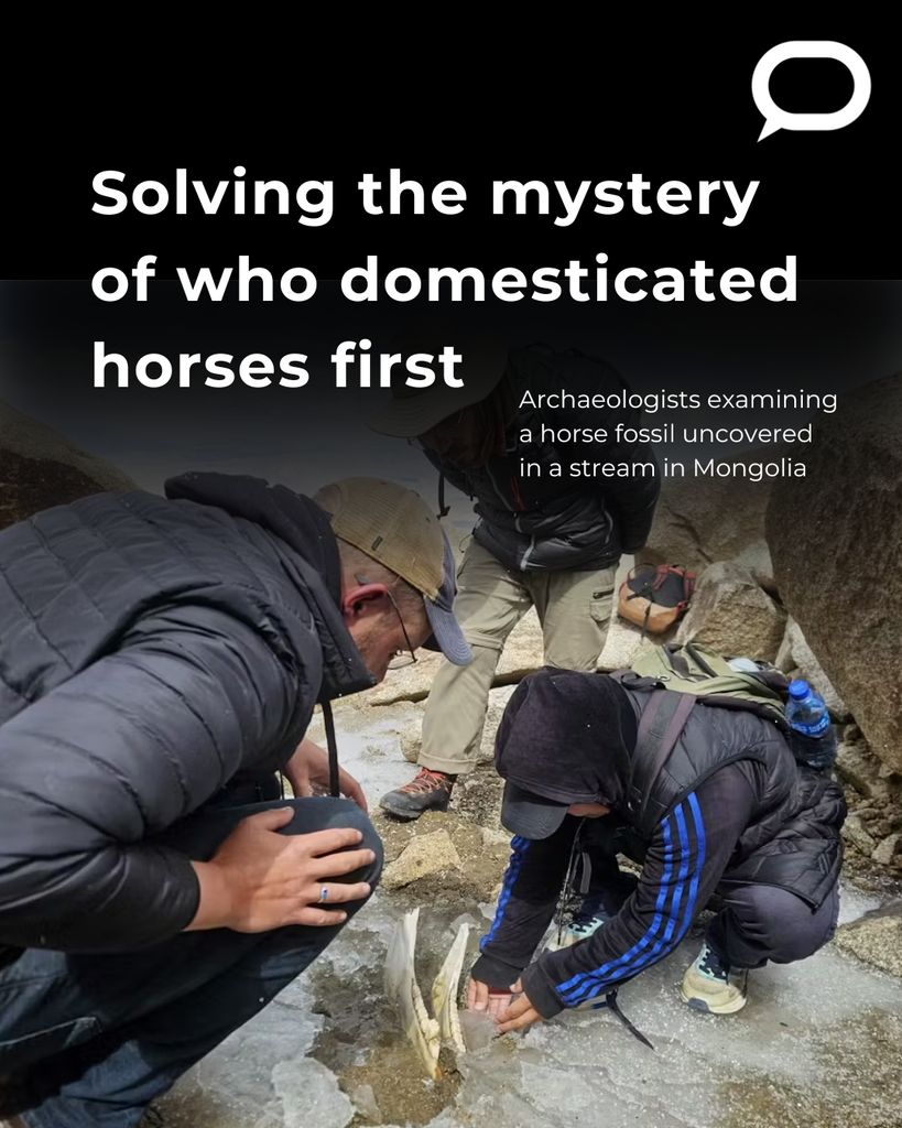 Two archaeologists examine a horse fossil uncovered in a stream in Mongolia. 