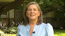 Carol Anne Meehan, former Ottawa councillor, news anchor announces bid for federal Conservative candidacy