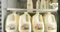 Cats in L.A. County die after drinking recalled raw milk