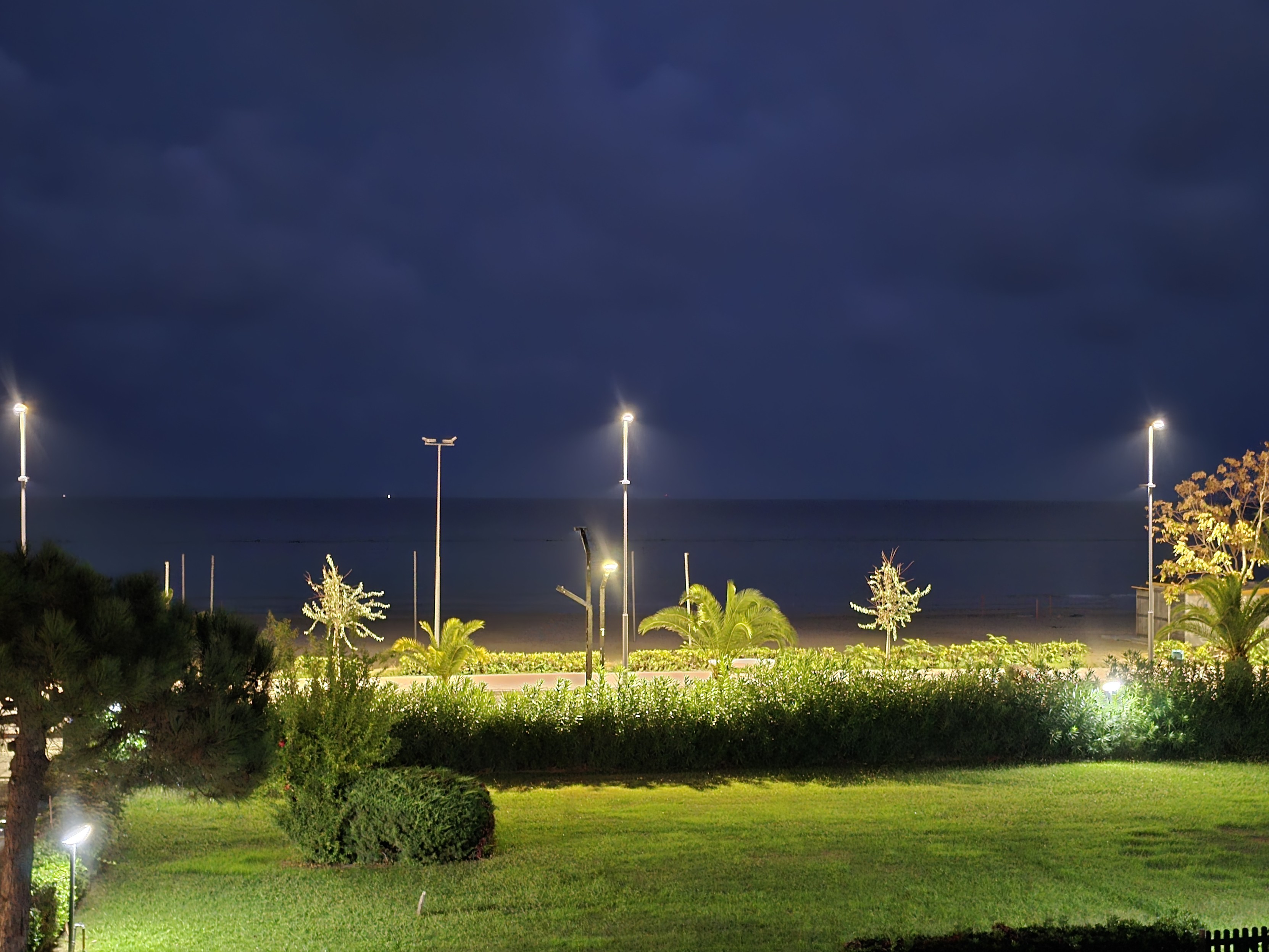 A serene night scene by the sea, with softly illuminated streetlights casting a warm glow on the greenery in the foreground. The distant ocean, barely visible under the dark sky, blends seamlessly with the horizon. Palm trees and other plants stand silhouetted against the peaceful, shadowy backdrop, creating a calming atmosphere.