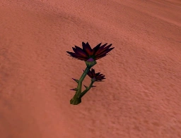 Blizzard Increases Black Lotus Spawn Rate On All WoW Classic Era Realms