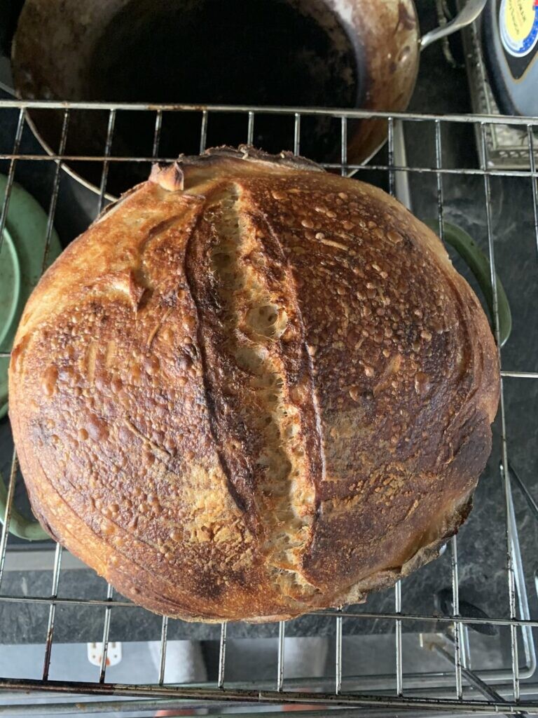 Help with higher hydration sourdough 