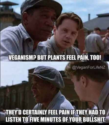 Meme based on The Shawshank Redemption prison court yard scene where Tim Robbins Tells Morgan Freeman “VEGANISM BUT PLANTS FEEL PAIN, TOO!” and Freeman responds with “THEY'D CERTAINLY FEEL PAIN IF THEY HAD TO LISTEN TO FIVE MINUTES OF YOUR BULLSHIT.”