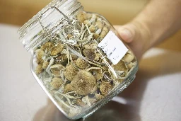 Quebec religion wants Health Canada's blessing to use magic mushrooms in ceremonies