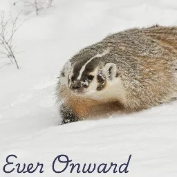 Ever Onward: Together, We Stand Strong - Animal Protection Party Of Canada