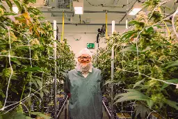 ‘I owe this plant everything’: Victoria cannabis pioneers share passion for cultivation and education - All About Cannabis in Canada