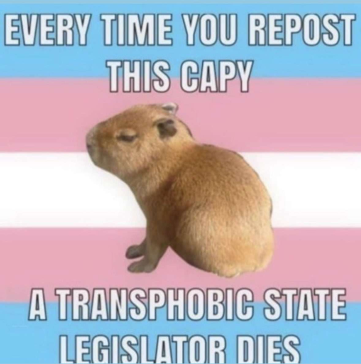 capy