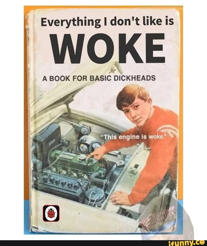 An edited Ladybird early reader book cover with a teen boy pointing into the open hood of a car while facing the viewer. The title of the book has been edited to say &quot;Everything I don&#39;t like is WOKE&quot; and the subtitle reads &quot;a book for basic dickheads&quot;. Text over the boy, surrounded in double quotes indicating speech, says &quot;this engine is woke&quot;.